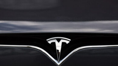 Tesla Logo Body